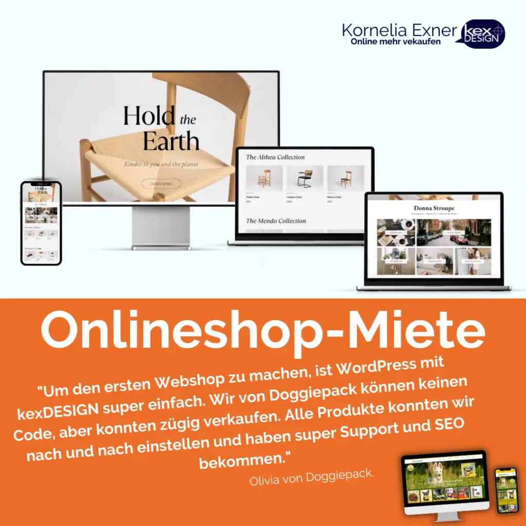 Onlineshop mieten