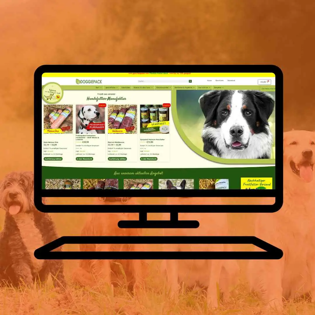Website für Onlineshop