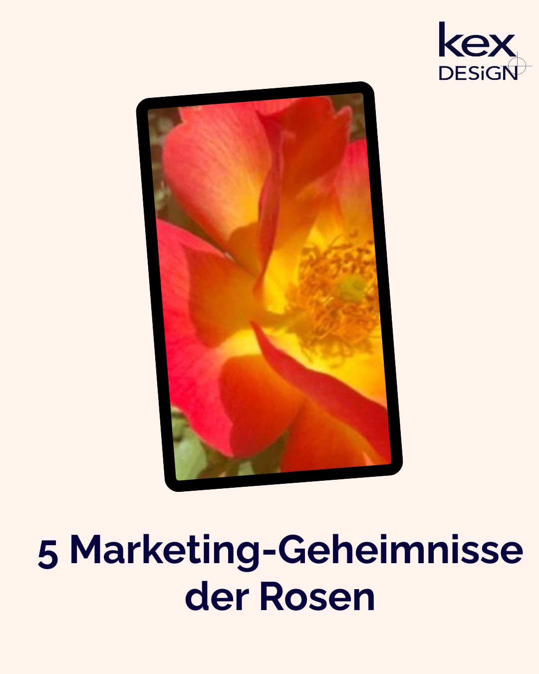 5 Marketinggeheimnisse