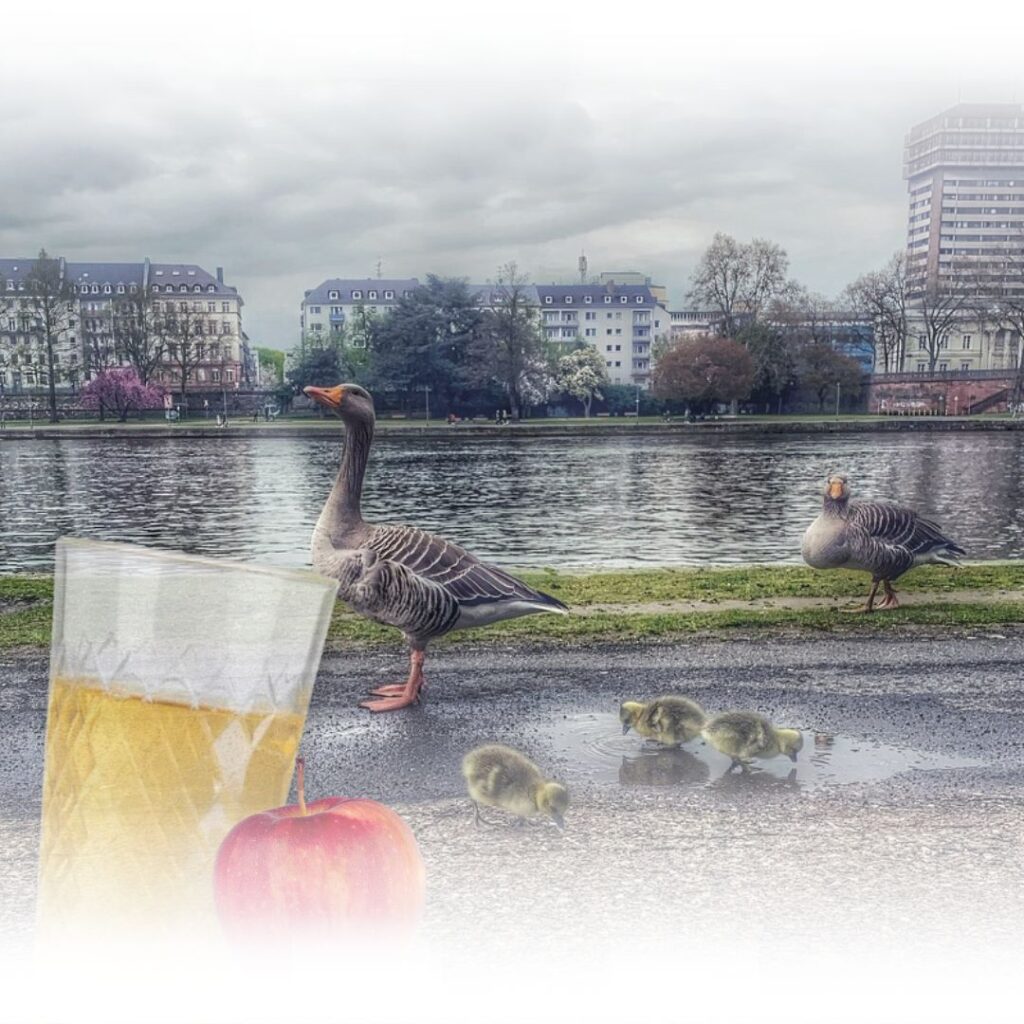 Webdesign Frankfurt 30 Jahre Erfahrung