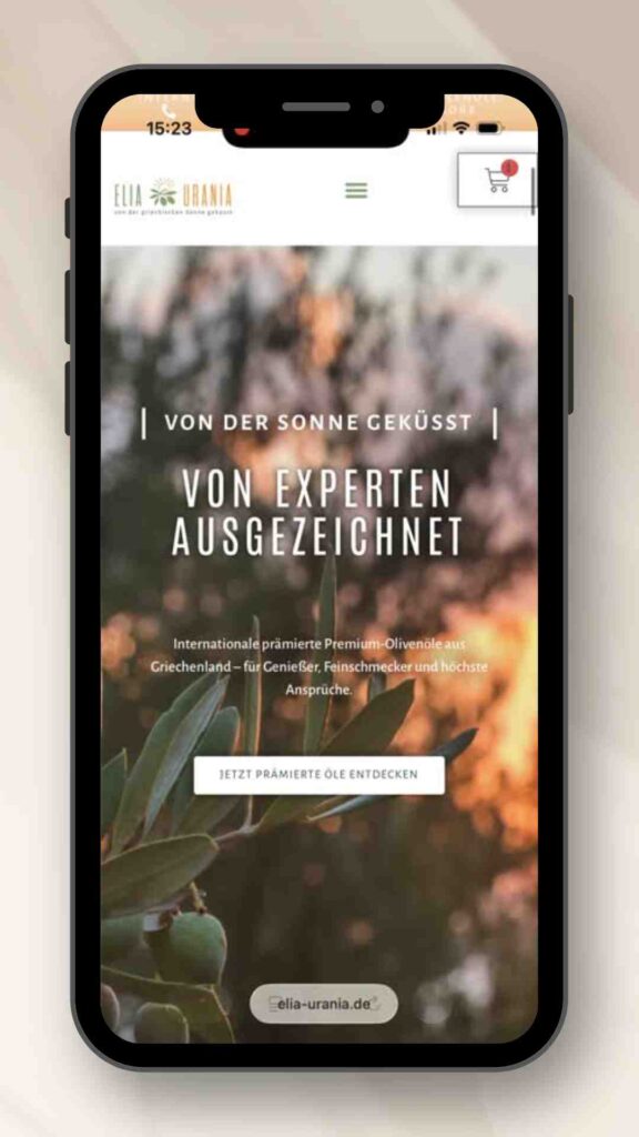 Webdesign & Online Shop für Kleinunternehmer - Dein Auftritt entscheidet, ob Kunden bei dir kaufen 1 Webdesign & Online Shop für Kleinunternehmer