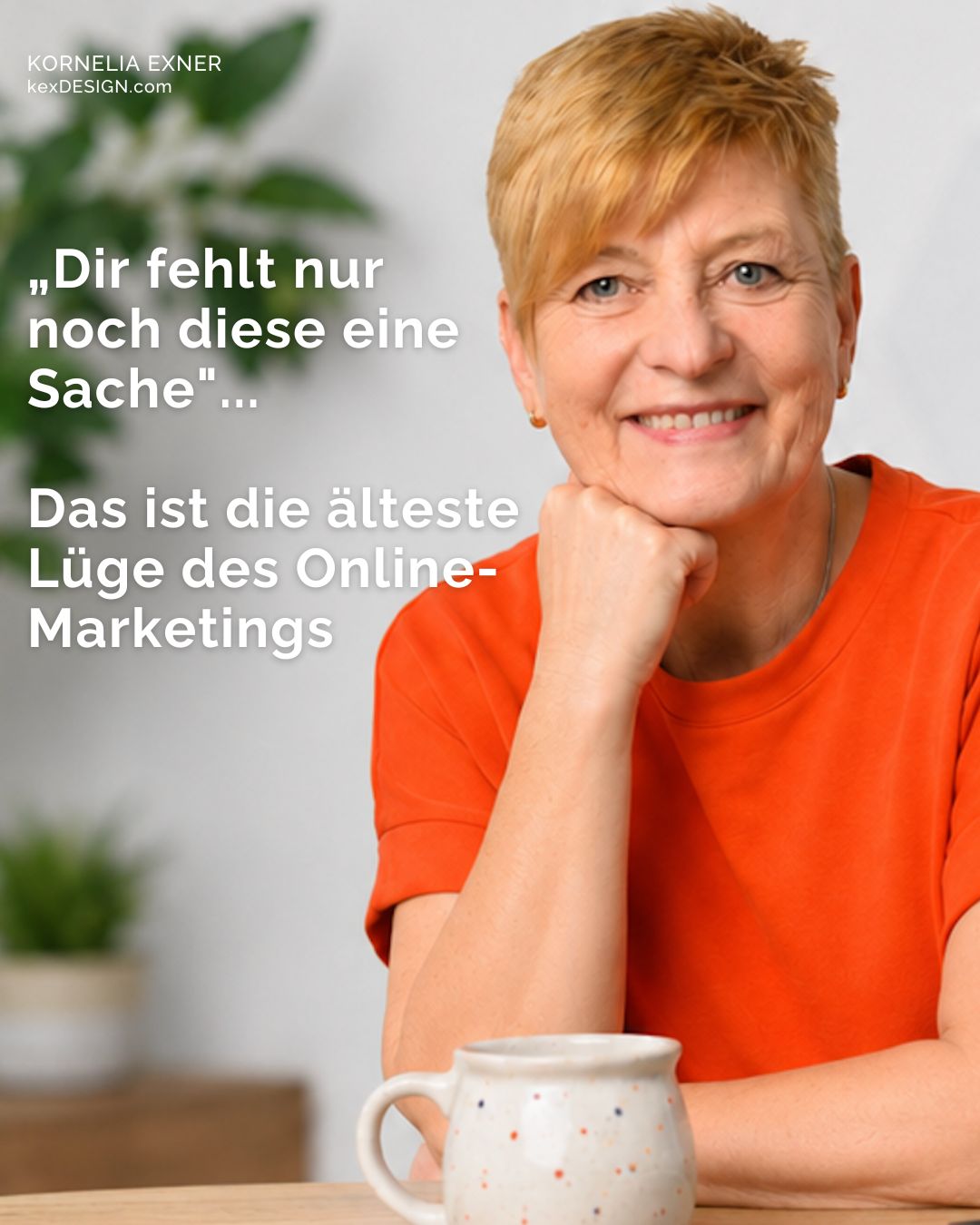 Blog: Onlineshop und Webdesign 2 Die aelteste Luege der Welt Website